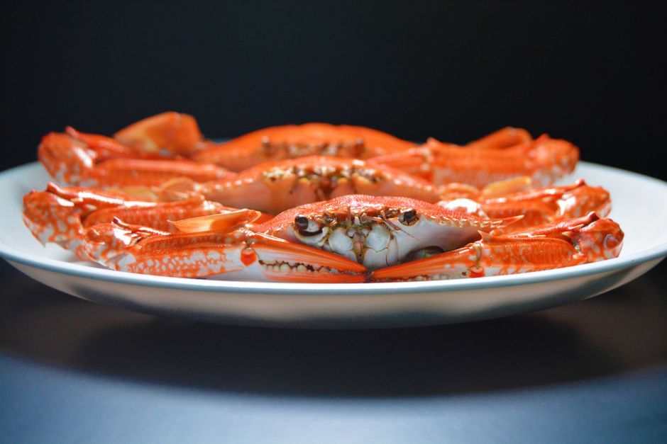 Crab Legs — Steamed crab legs, usually served with drawn butter.