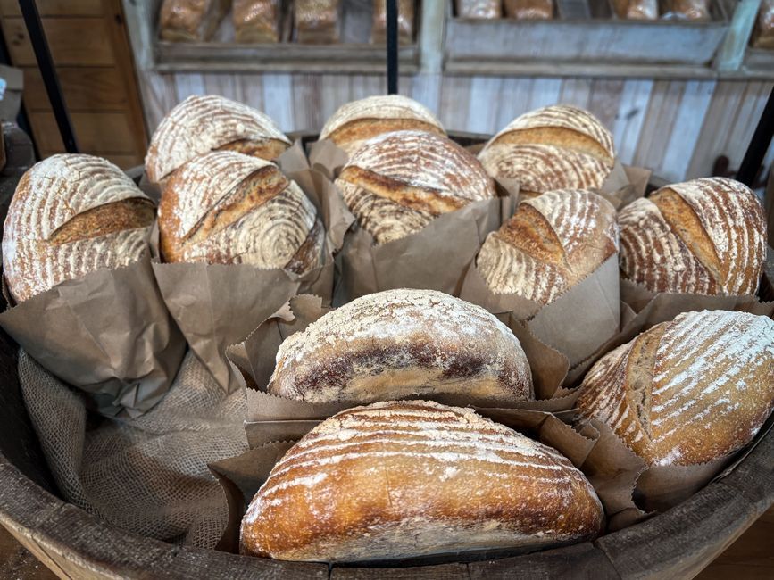 Fresh Bread — Loaves baked on site, crust to crumb.